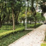 Praca Carlos Gardel Rua Curitiba Ibirapuera 2 1