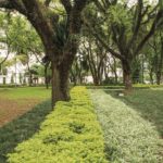 Praca Carlos Gardel Rua Curitiba Ibirapuera 3 1