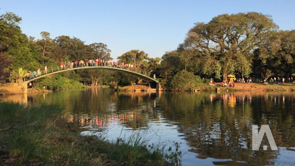Melhor Horário Para Visitar O Parque Ibirapuera
