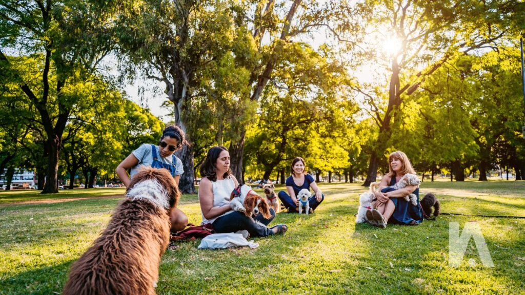 Como É Morar No Bairro Do Itaim Bibi Em São Paulo? 4 Pessoas Com Seus Pets No Parque Do Povo, No Itaim Bibi.